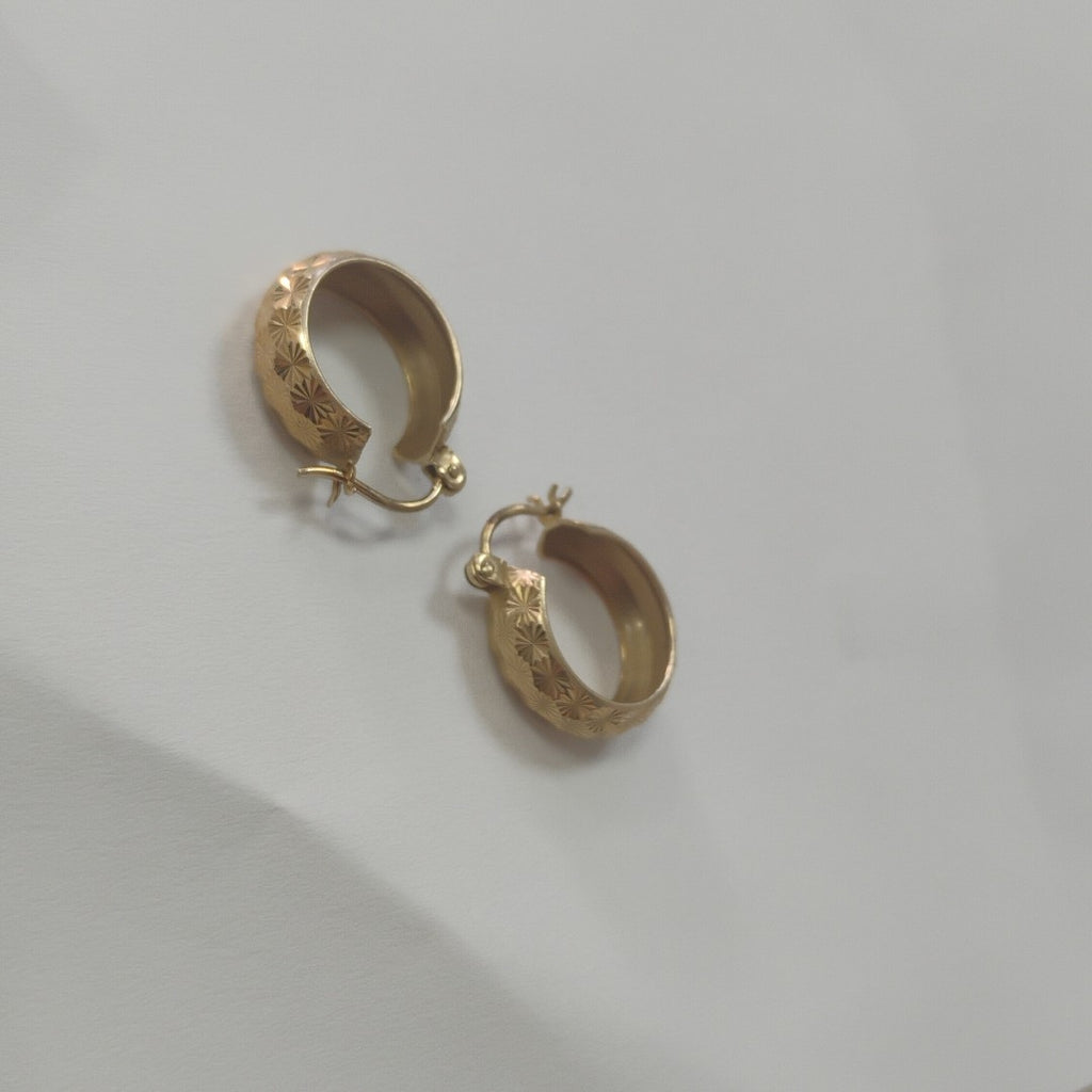 ARRACADAS PAR ORO 10 K 1.9 GRMS (SEMINUEVO)