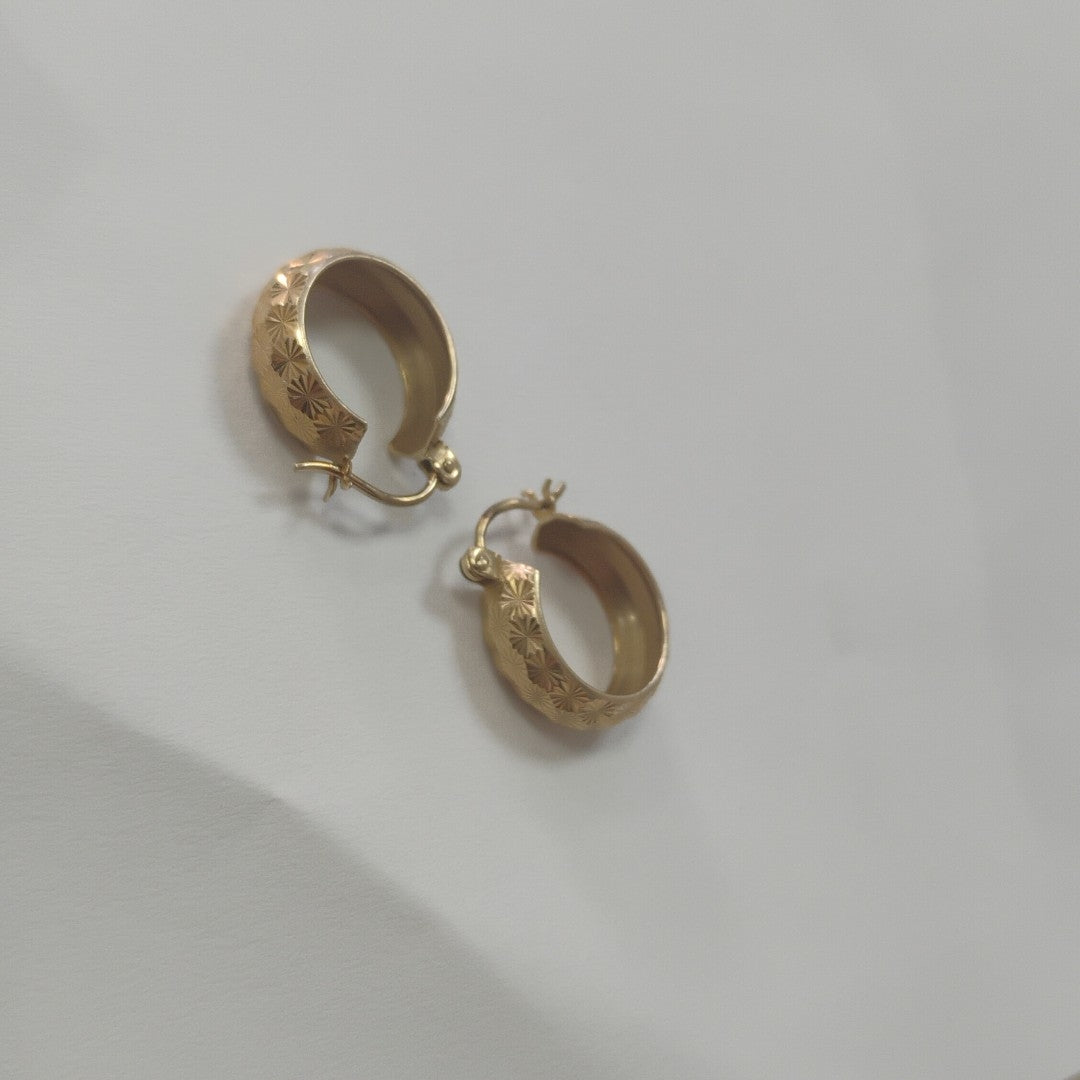 ARRACADAS PAR ORO 10 K 1.9 GRMS (SEMINUEVO)