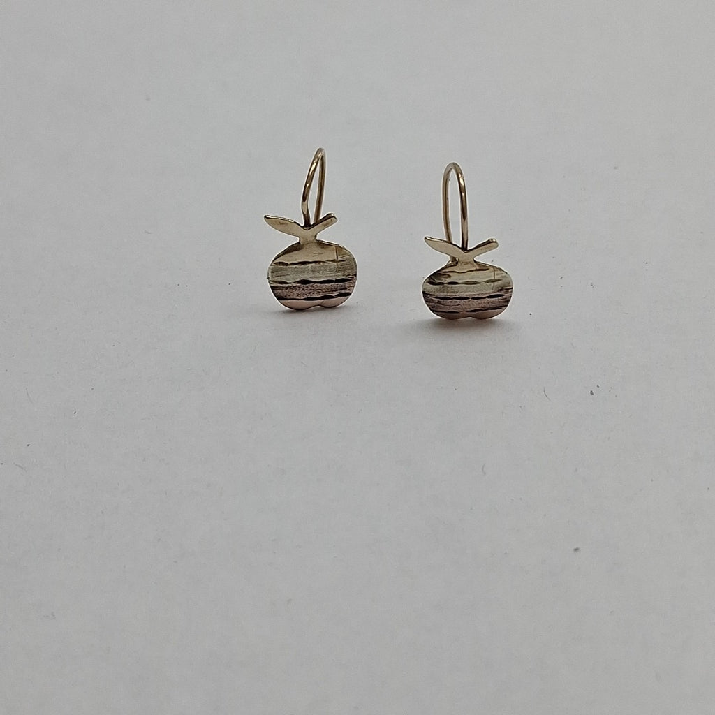 ARETES PAR ORO 10 K 1.2 GRMS (SEMINUEVO)