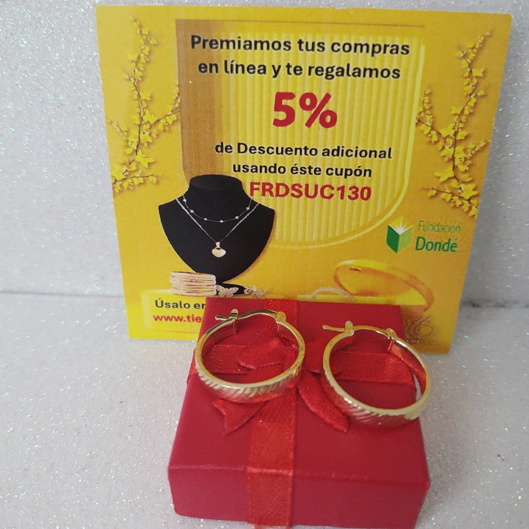ARETES ARRACADA ASTRIADA 10K 1.8 GR (NUEVO)