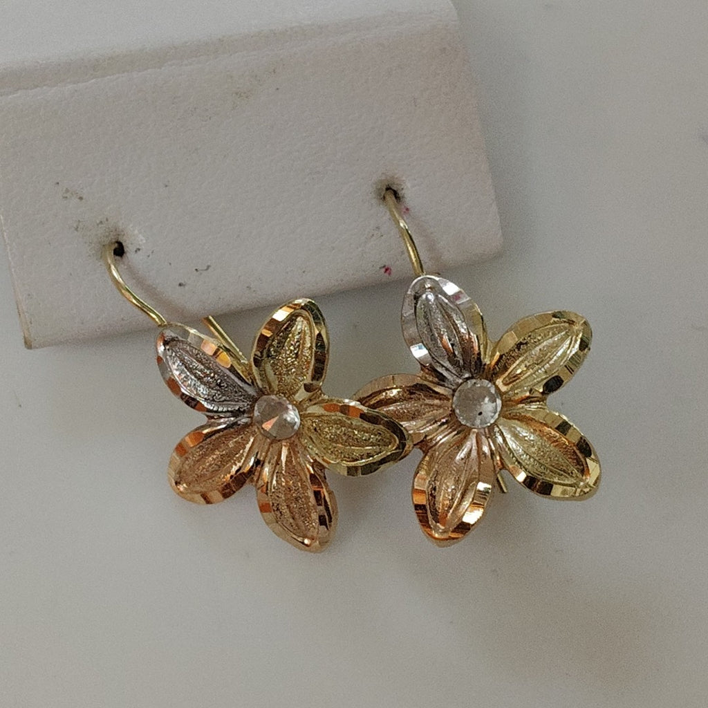 ARETES PAR ORO 14 K 1.5 GRMS (SEMINUEVO)