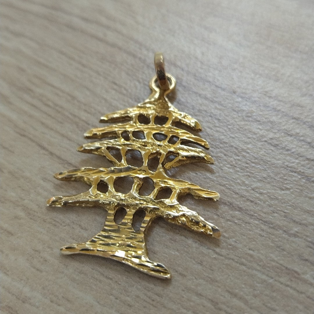 DIJE ORO 14 K 2.5 GRMS (SEMINUEVO)