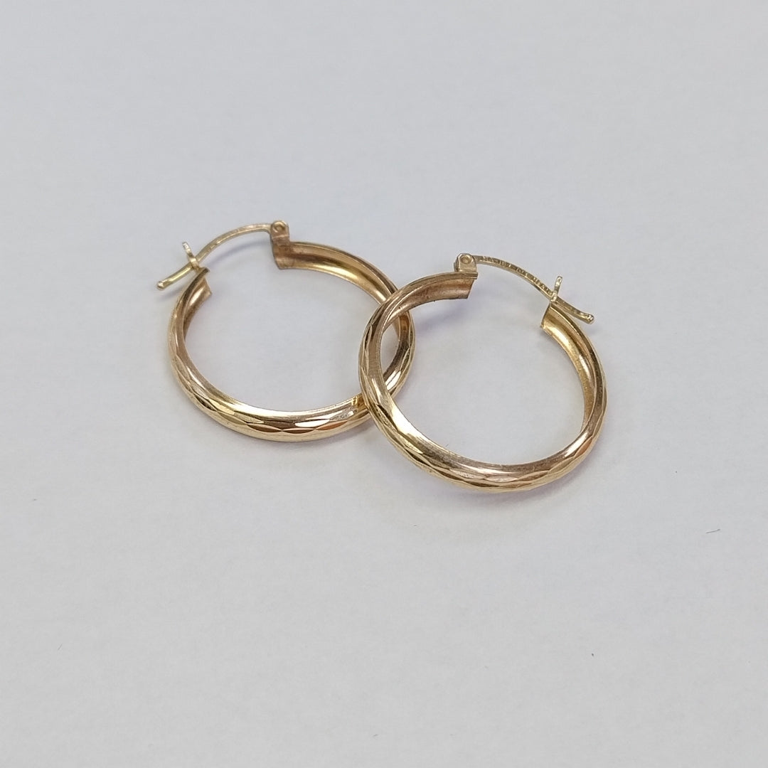 ARRACADAS PAR ORO 10 K 2 GRMS (SEMINUEVO)