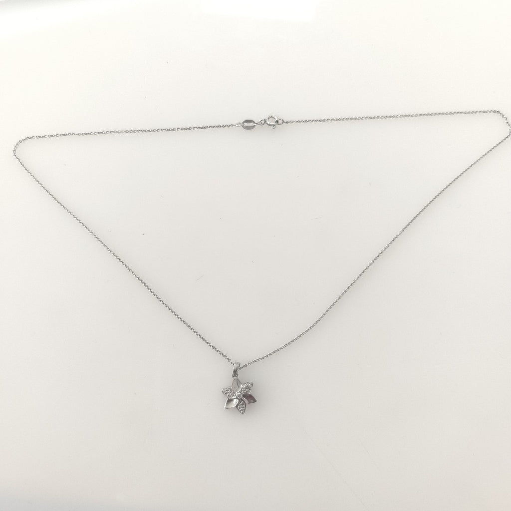 CADENA, DIJE PLATA 2.6 GRMS (SEMINUEVO)
