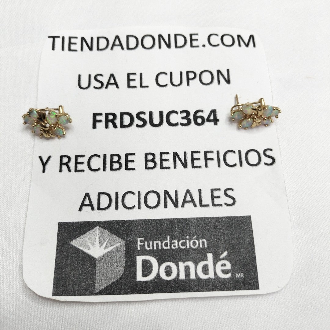 BROQUELES PAR ORO 10 K 6,70 GRMS (SEMINUEVO)