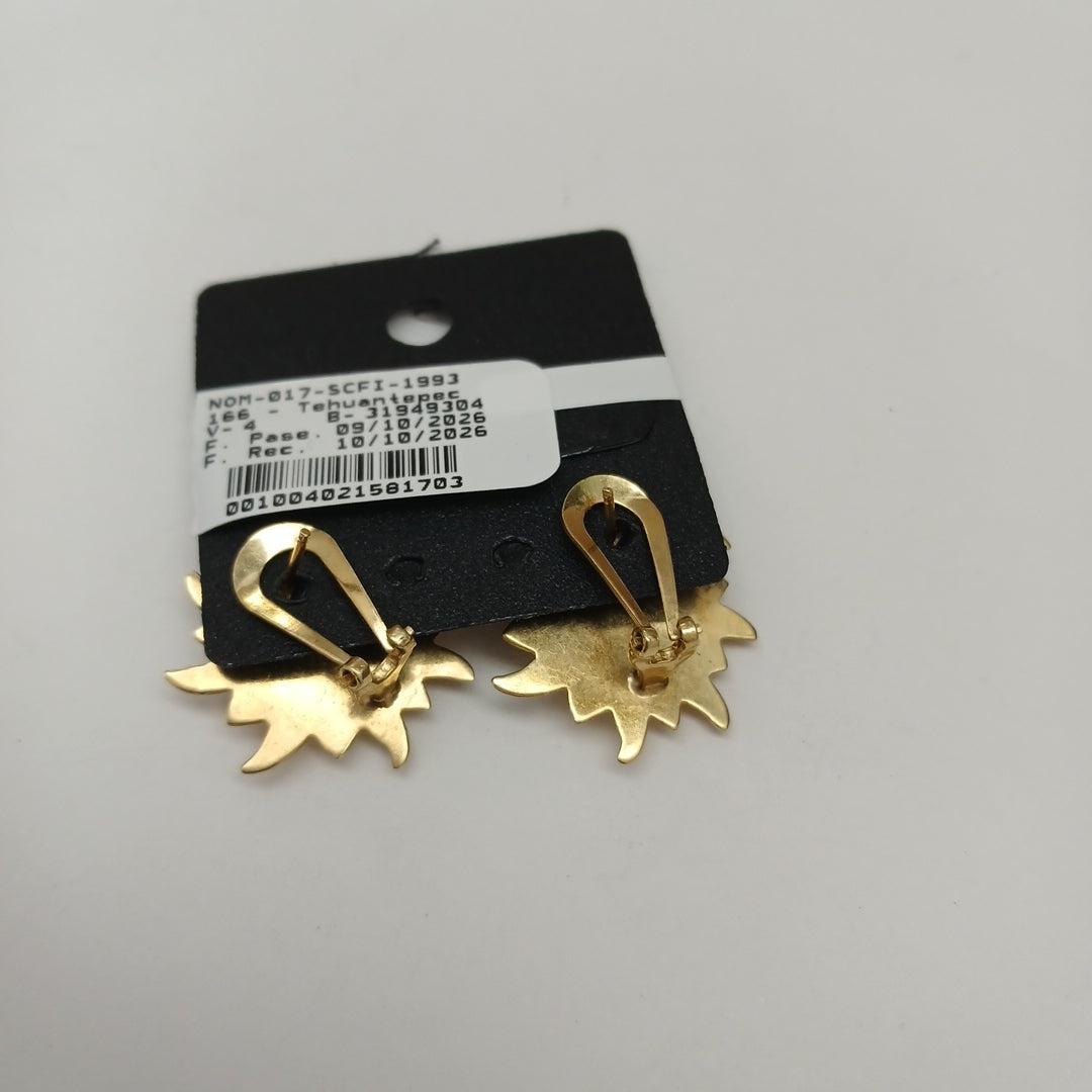 ARETES PAR ORO 14 K 5.6 GRMS (SEMINUEVO)