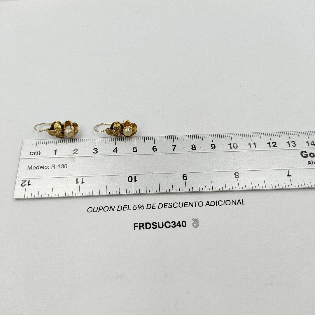ARETES PAR ORO 18 K 2.7 GRMS (SEMINUEVO)
