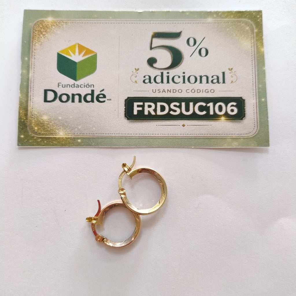 ARRACADAS PAR ORO 10 K 2 GRMS (SEMINUEVO)