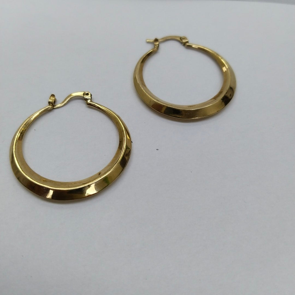 ARRACADAS PAR ORO 10 K 3.1 GRMS (SEMINUEVO)
