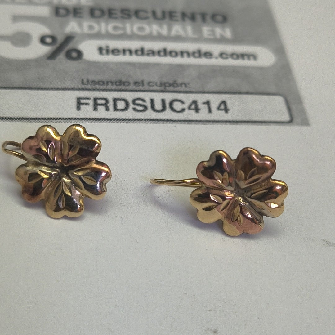 ARETES PAR ORO 10 K 1,40 GRMS (SEMINUEVO)