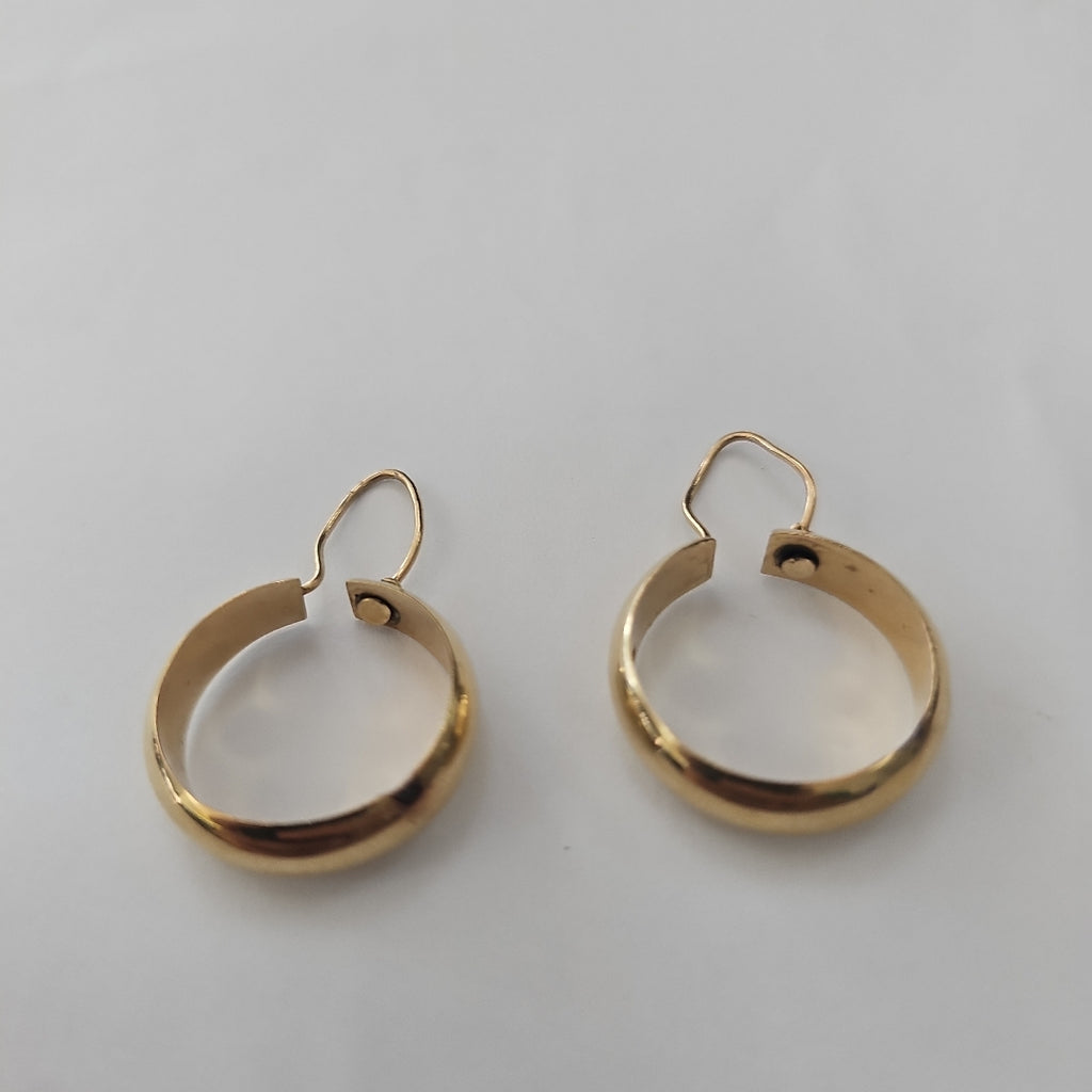 ARRACADAS PAR ORO 10 K 2,90 GRMS (SEMINUEVO)