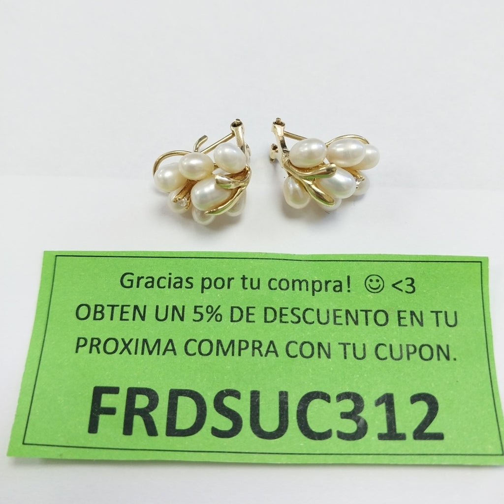 ARETES PAR ORO 10 K 5.4 GRMS (SEMINUEVO)
