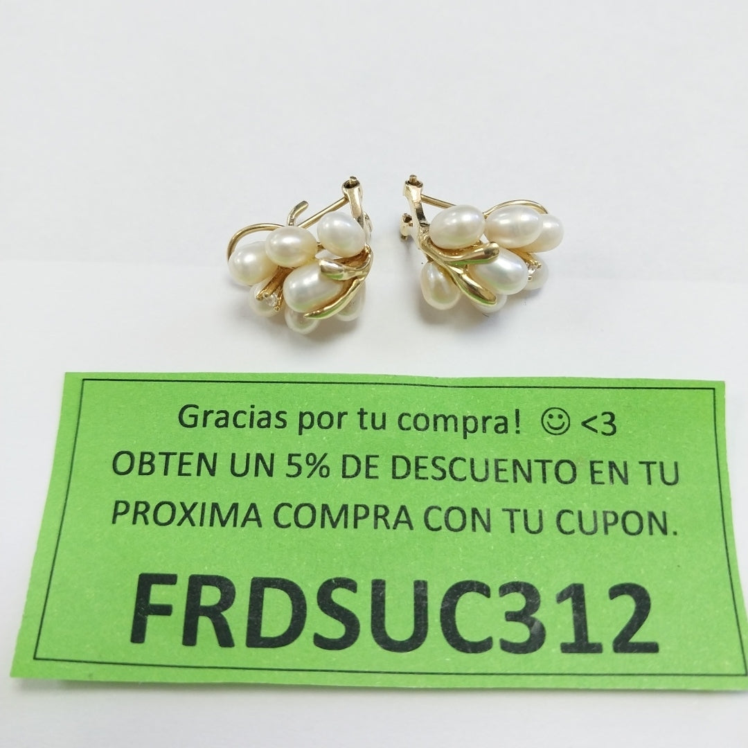 ARETES PAR ORO 10 K 5.4 GRMS (SEMINUEVO)