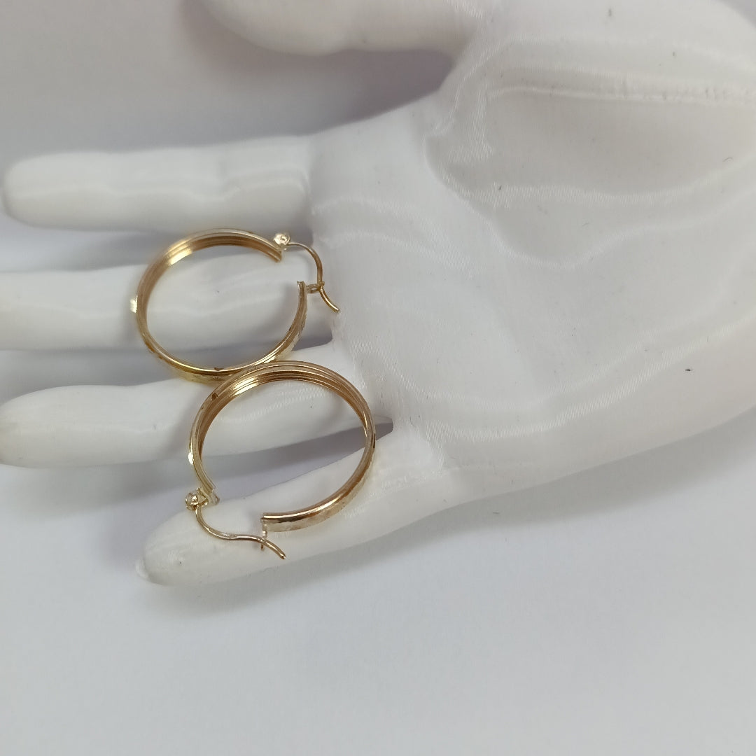 ARETES PAR ORO 10 K 2.7 GRMS (SEMINUEVO)