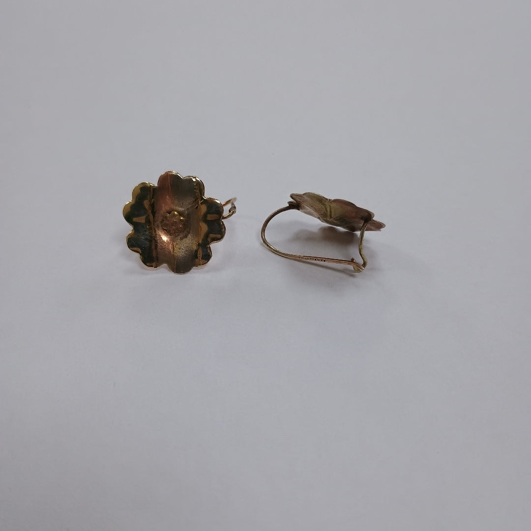 ARETES PAR ORO 10 K 1.2 GRMS (SEMINUEVO)