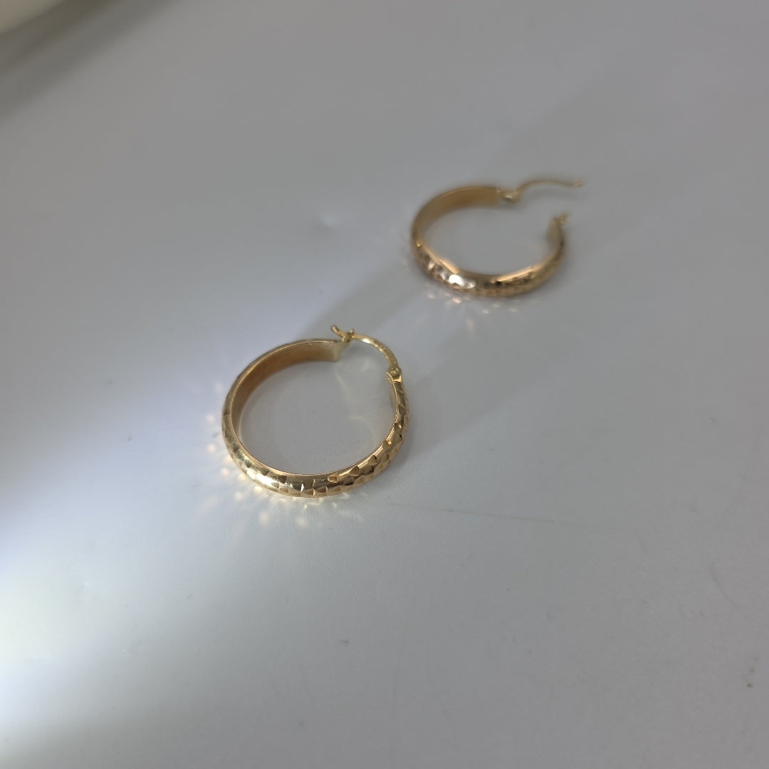 ARRACADAS PAR ORO 10 K 2.7 GRMS (SEMINUEVO)