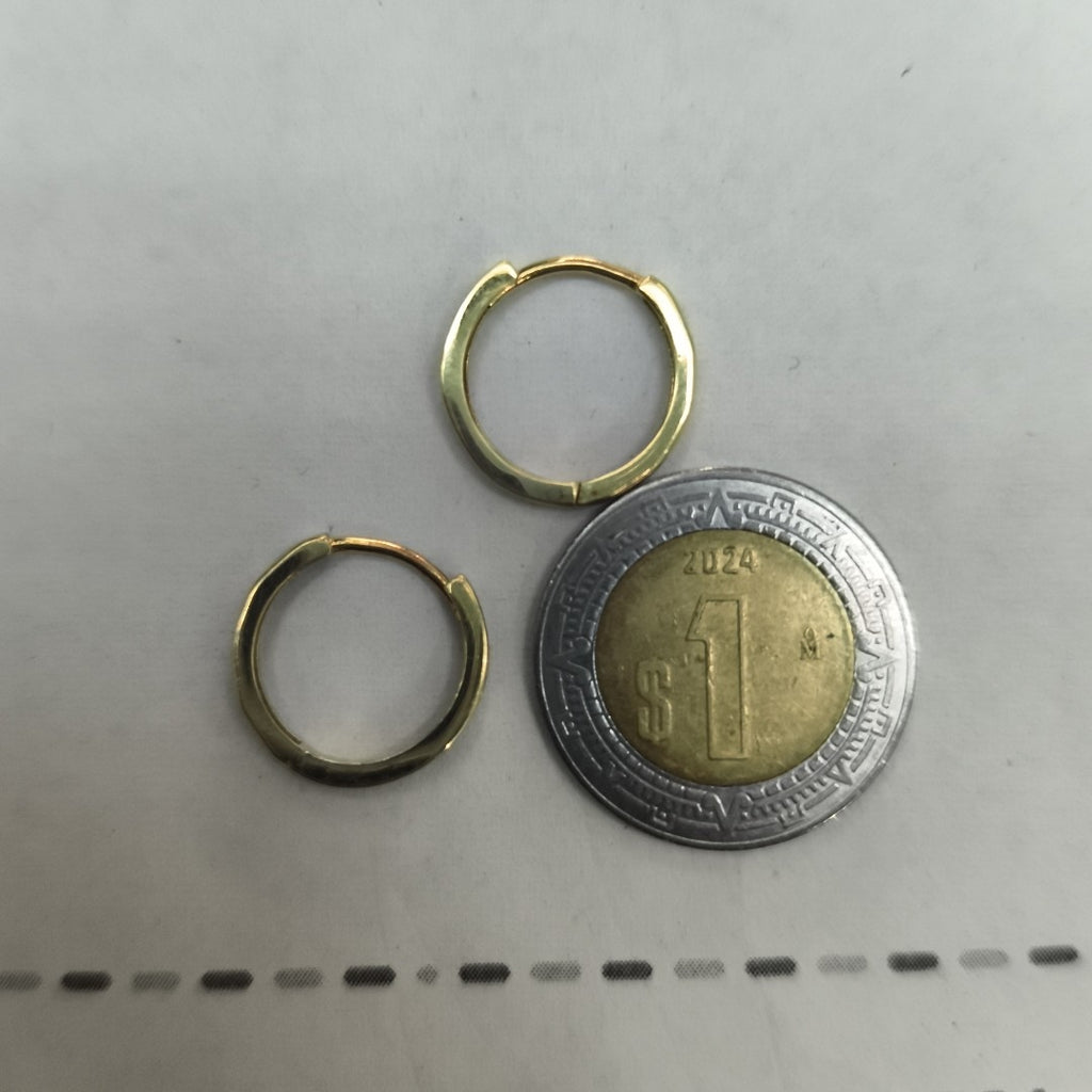 ARRACADAS PAR ORO 10 K 1.2 GRMS (SEMINUEVO)