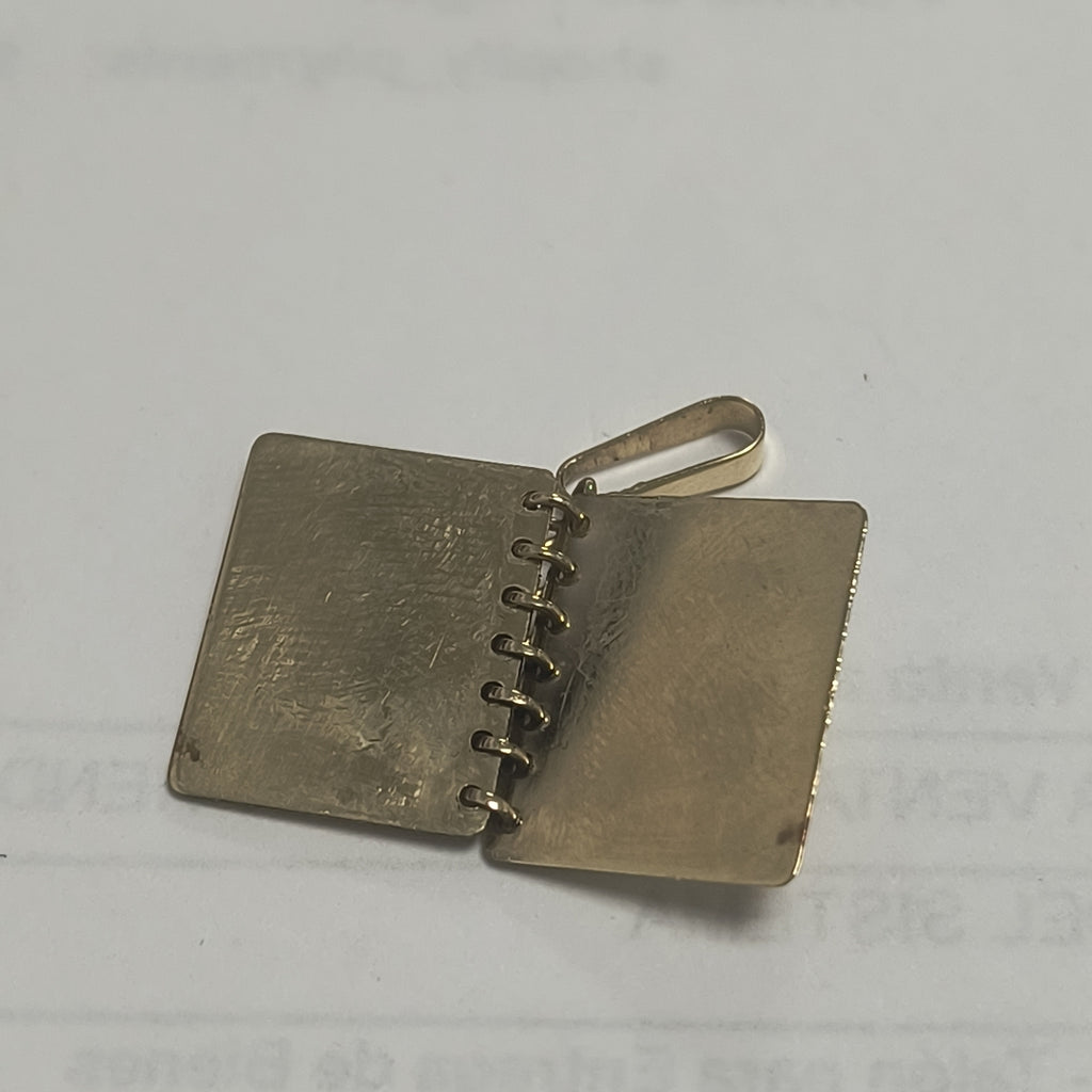 DIJE ORO 10 K 2.7 GRMS (SEMINUEVO)