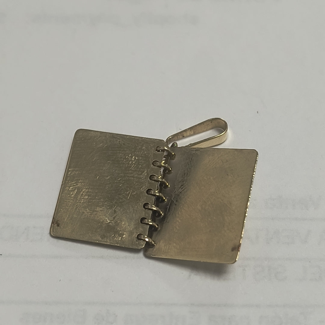 DIJE ORO 10 K 2.7 GRMS (SEMINUEVO)