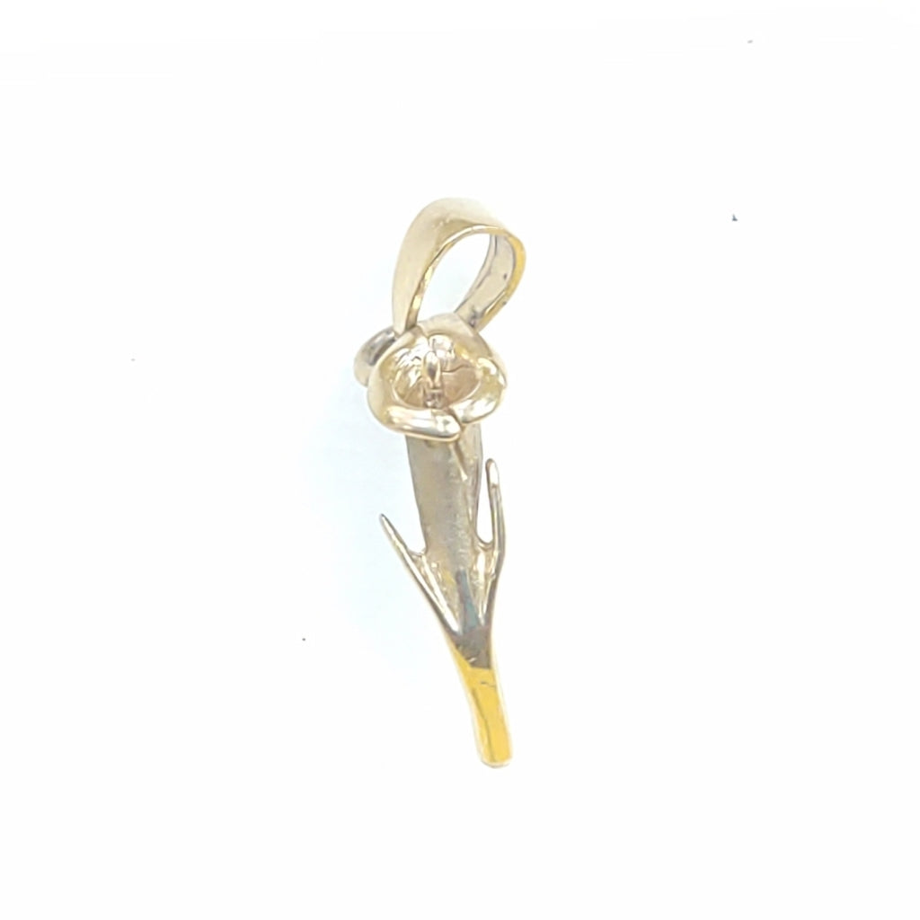 DIJE ORO 14 K 1.5 GRMS (SEMINUEVO)