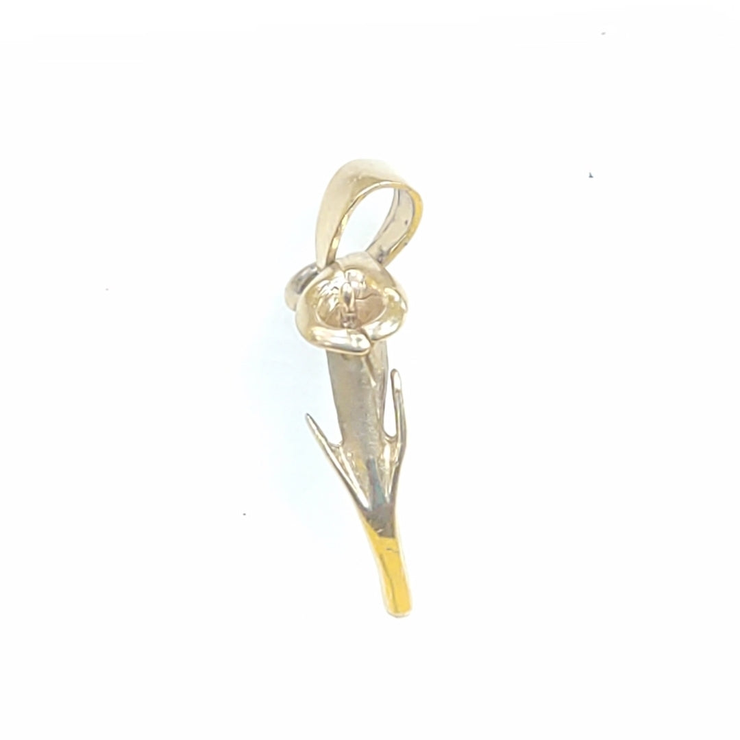 DIJE ORO 14 K 1.5 GRMS (SEMINUEVO)