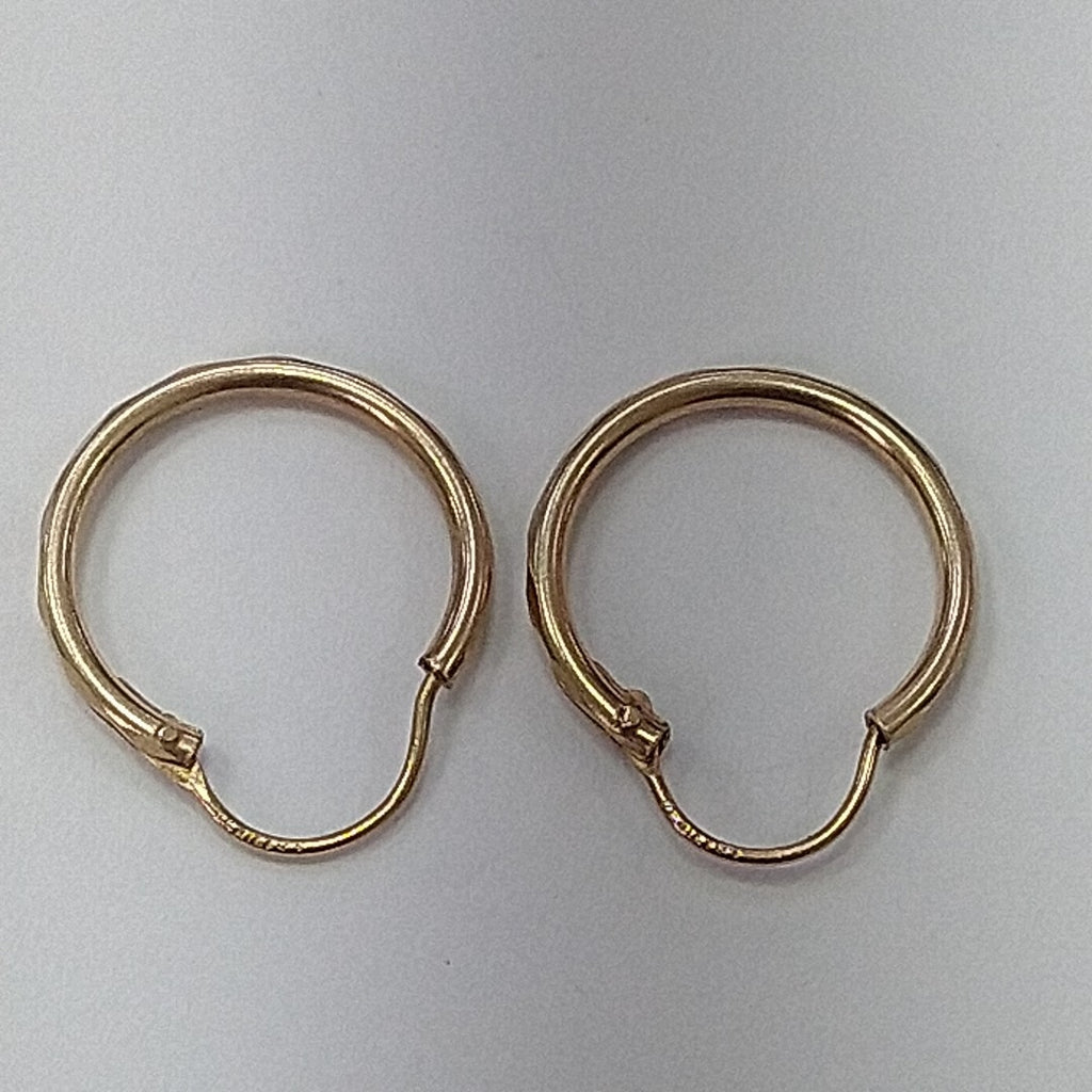 ARRACADAS PAR ORO 10 K 1,00 GRMS (SEMINUEVO)