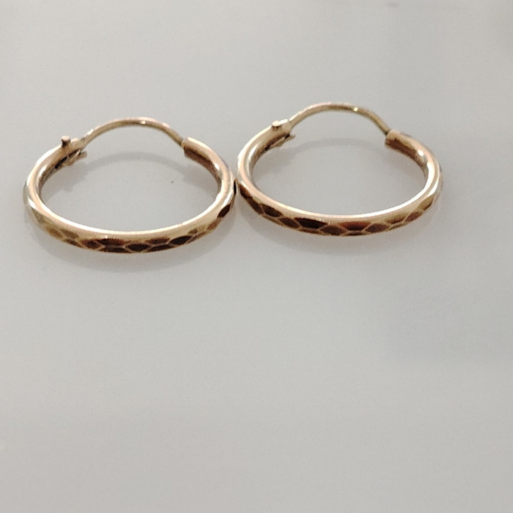 ARRACADAS PAR ORO 10 K 1 GRMS (SEMINUEVO)