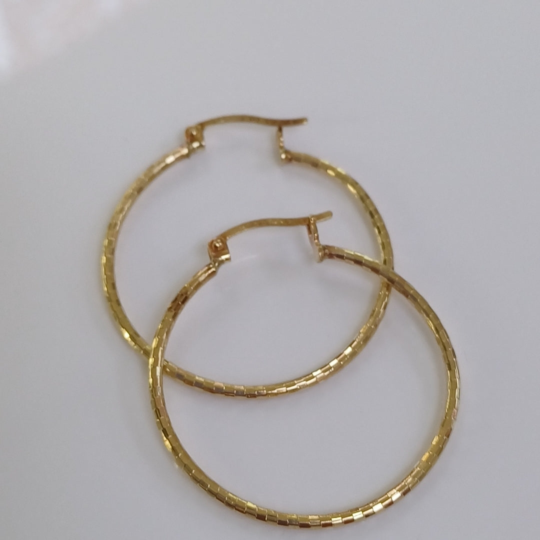 ARRACADAS PAR ORO 10 K 1.6 GRMS (SEMINUEVO)
