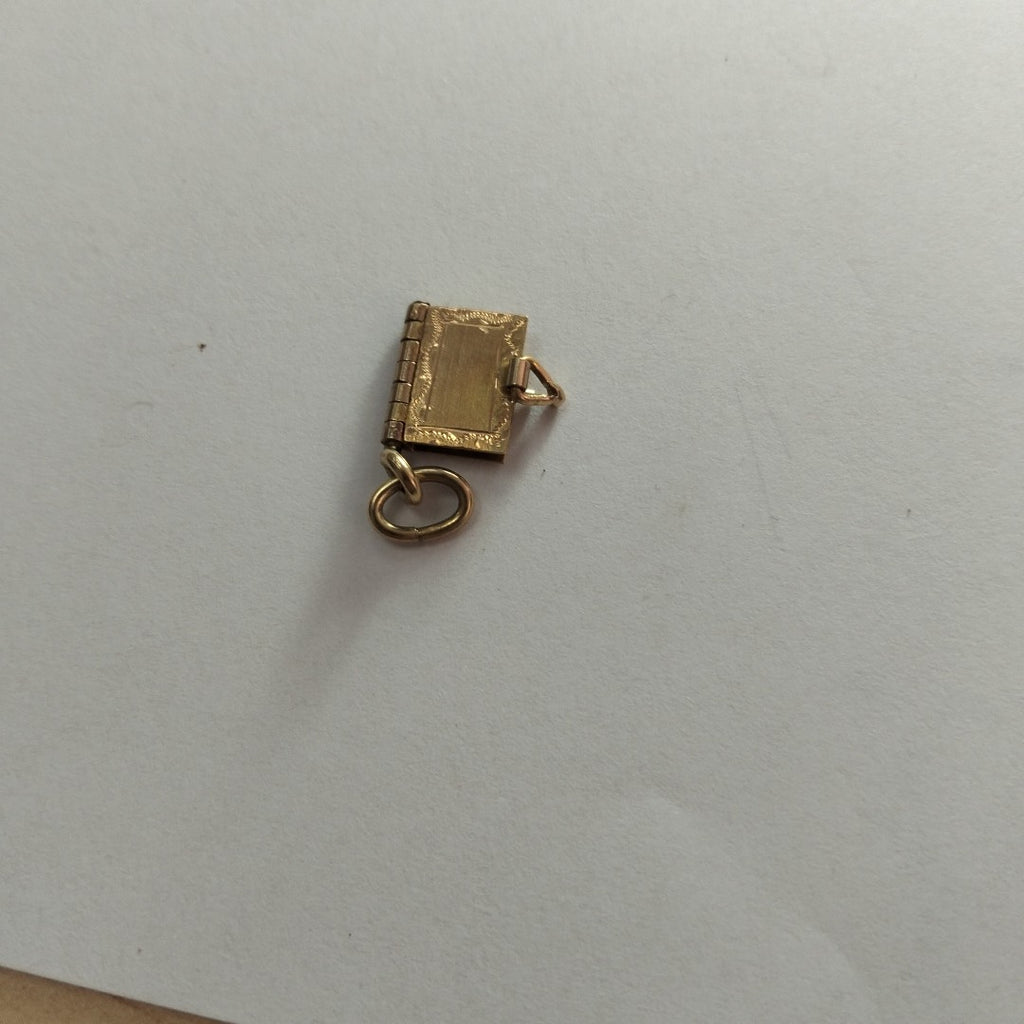 DIJE ORO 14 K 3.1 GRMS (SEMINUEVO)