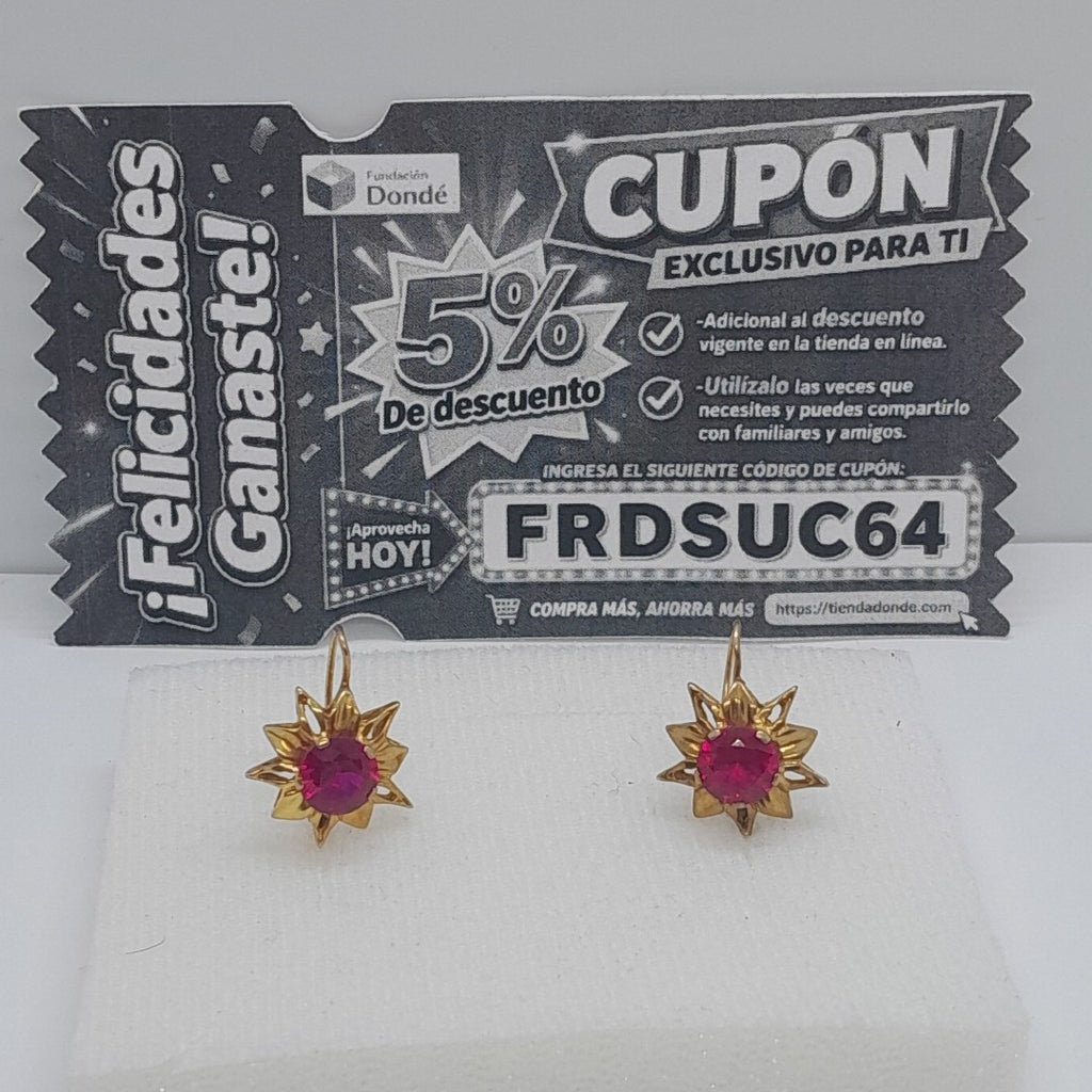 ARETES PAR ORO 10 K 3.6 GRMS (SEMINUEVO)