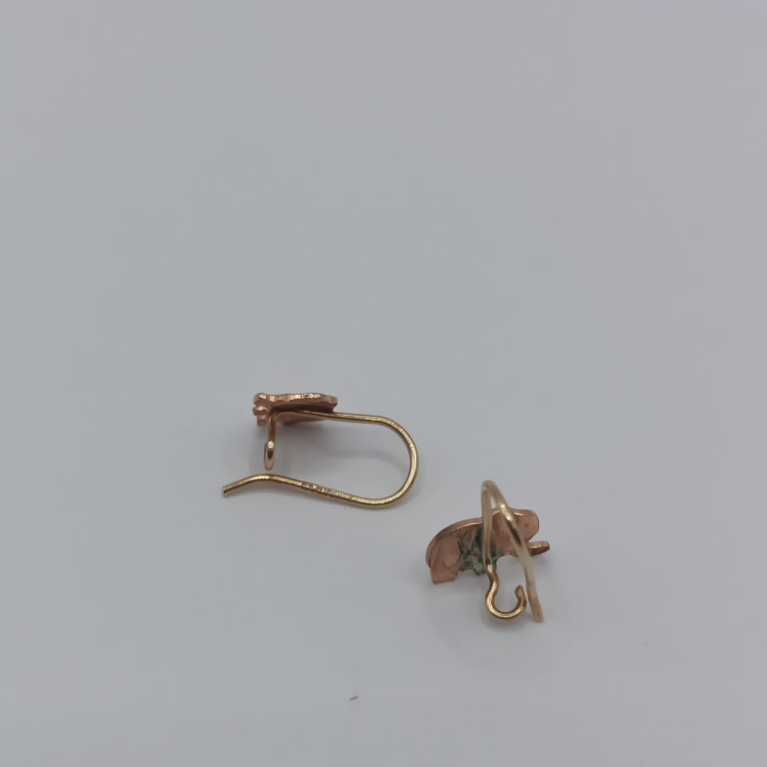 ARETES PAR ORO 10 K 1 GRMS (SEMINUEVO)