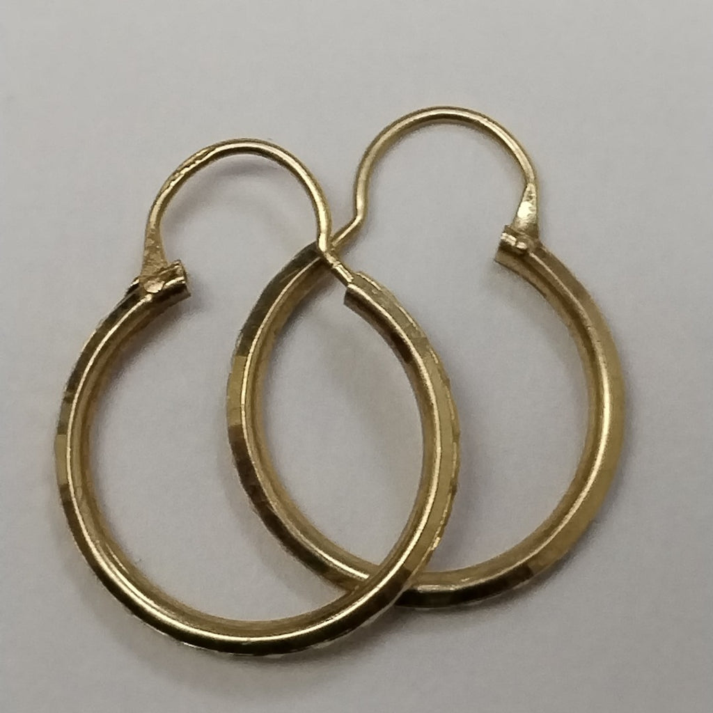 ARRACADAS PAR ORO 10 K 0.8 GRMS (SEMINUEVO)