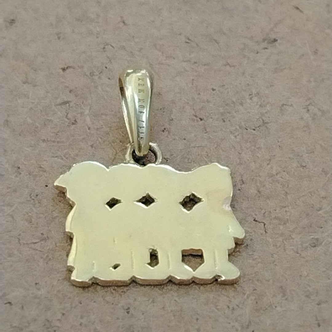 DIJE ORO 10 K 2,00 GRMS (SEMINUEVO)