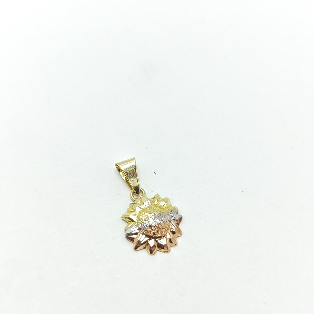 DIJE ORO, ORO COMBINADO 10 K 0.3 GRMS (SEMINUEVO)