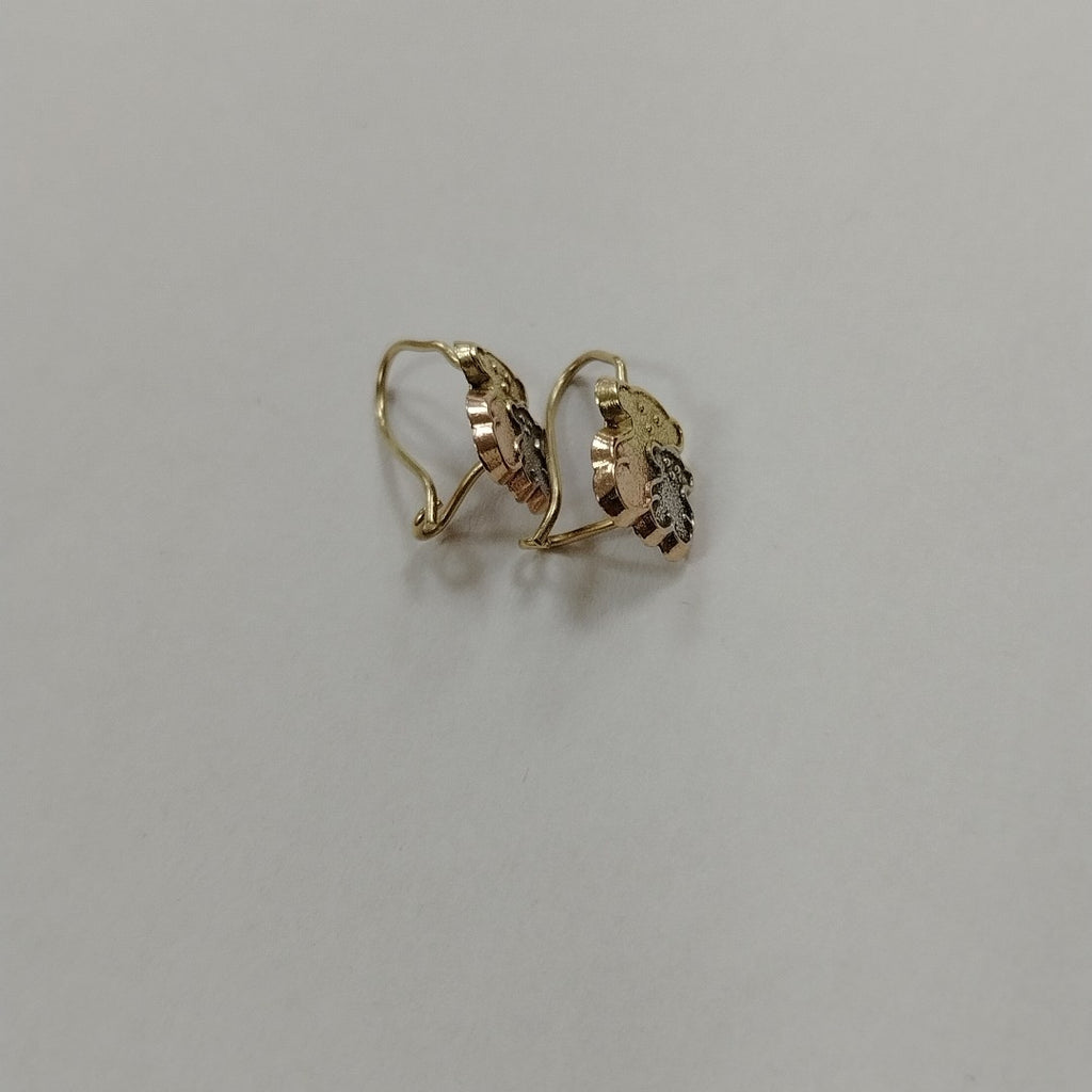 ARETES PAR ORO 10 K 0.7 GRMS (SEMINUEVO)