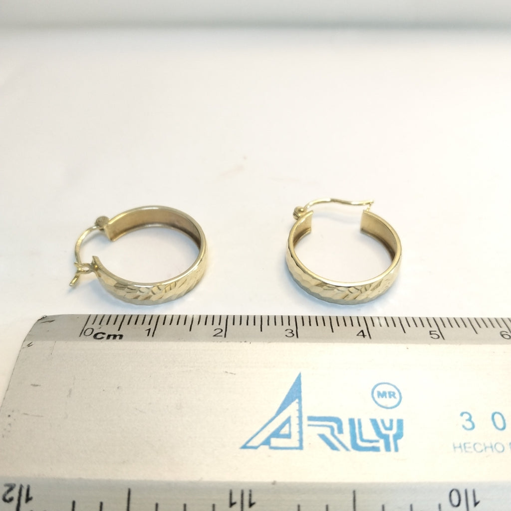 ARRACADAS PAR ORO 10 K 1.9 GRMS (SEMINUEVO)