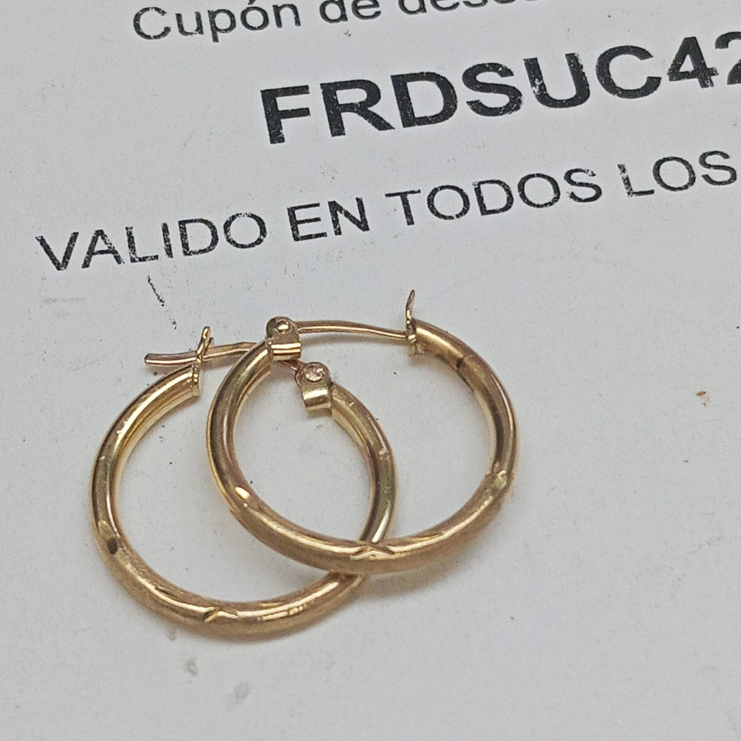 ARRACADAS PAR ORO 10 K 1.6 GRMS (SEMINUEVO)