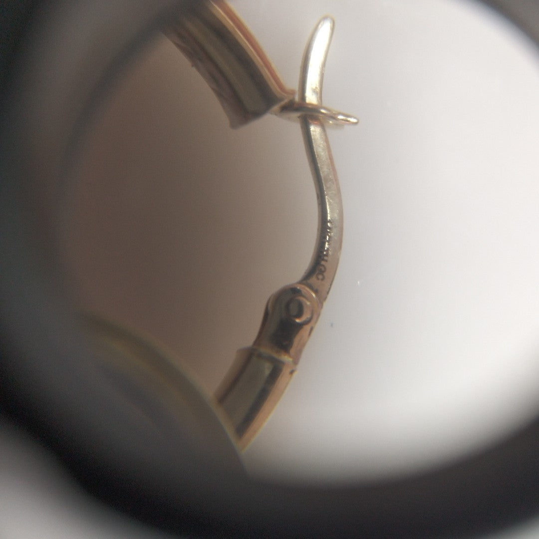 ARRACADAS PAR ORO, RODIADO 14 K 1.9 GRMS (SEMINUEVO)