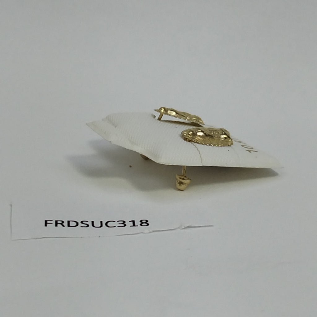 BROQUELES PAR ORO 10 K 0.3 GRMS (SEMINUEVO)