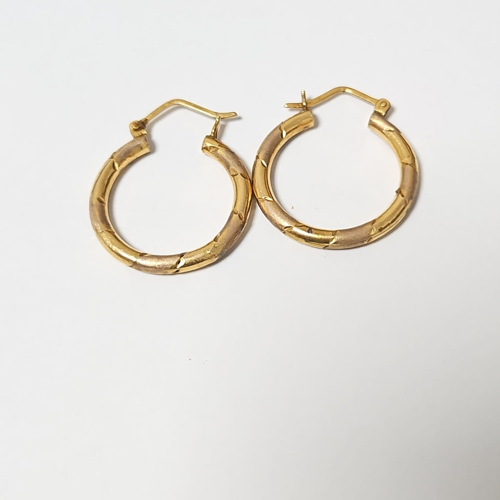 ARETES PAR ORO 10 K 2,90 GRMS (SEMINUEVO)