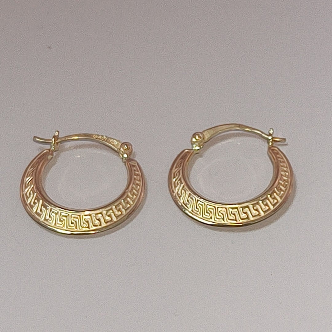 ARRACADAS PAR ORO 10 K 1.4 GRMS (SEMINUEVO)