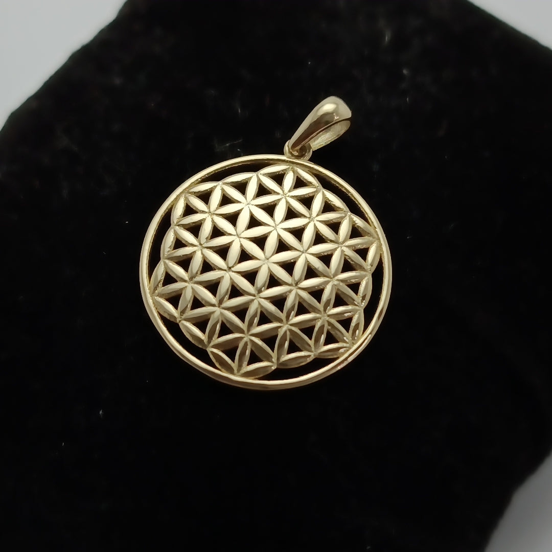 DIJES ORO 14K 1.6 (NUEVO)
