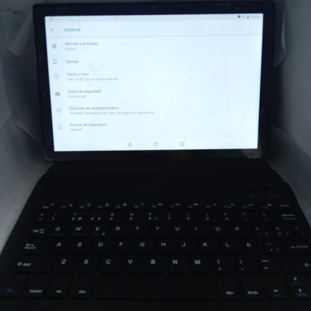 TABLETA OTRAS MARCAS OTROS MODELOS 256 GB 8 GB RAM (SEMINUEVO)