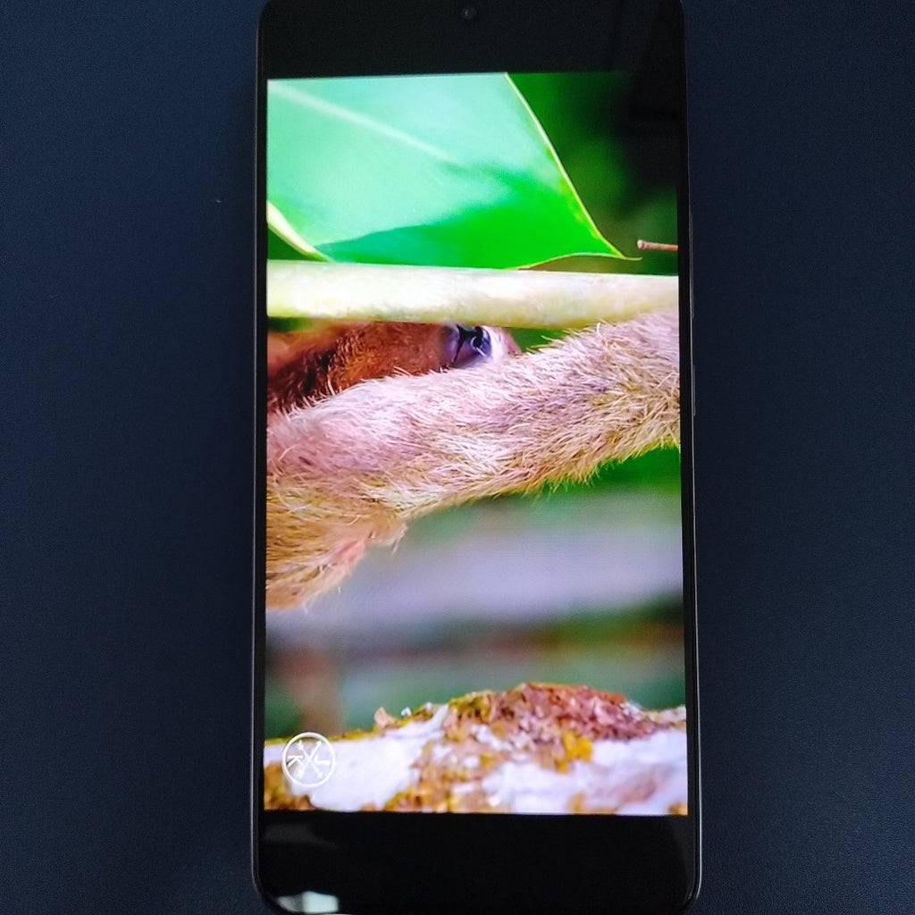 CELULAR VIVO V50 LITE V2441 (2025) 256 GB 8 GB RAM (SEMINUEVO)