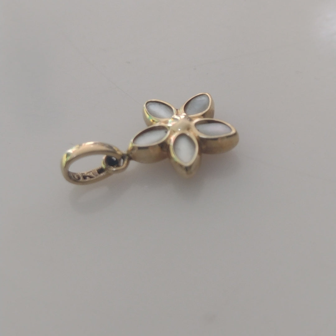 DIJE. ORO. 10 K 0.7 GRMS (SEMINUEVO)