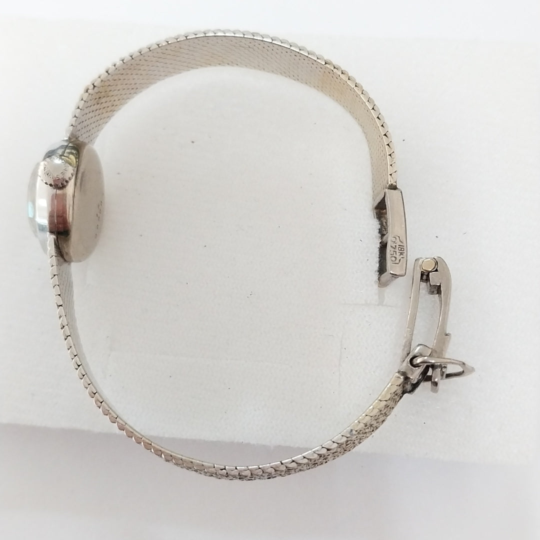 RELOJ CAJA Y PULSO ORO ORO BLANCO 18 K 22,10 GRMS (SEMINUEVO)