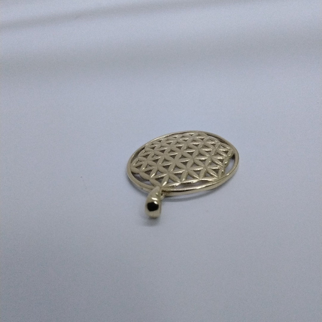 DIJES ORO 14K 2.1 (NUEVO)