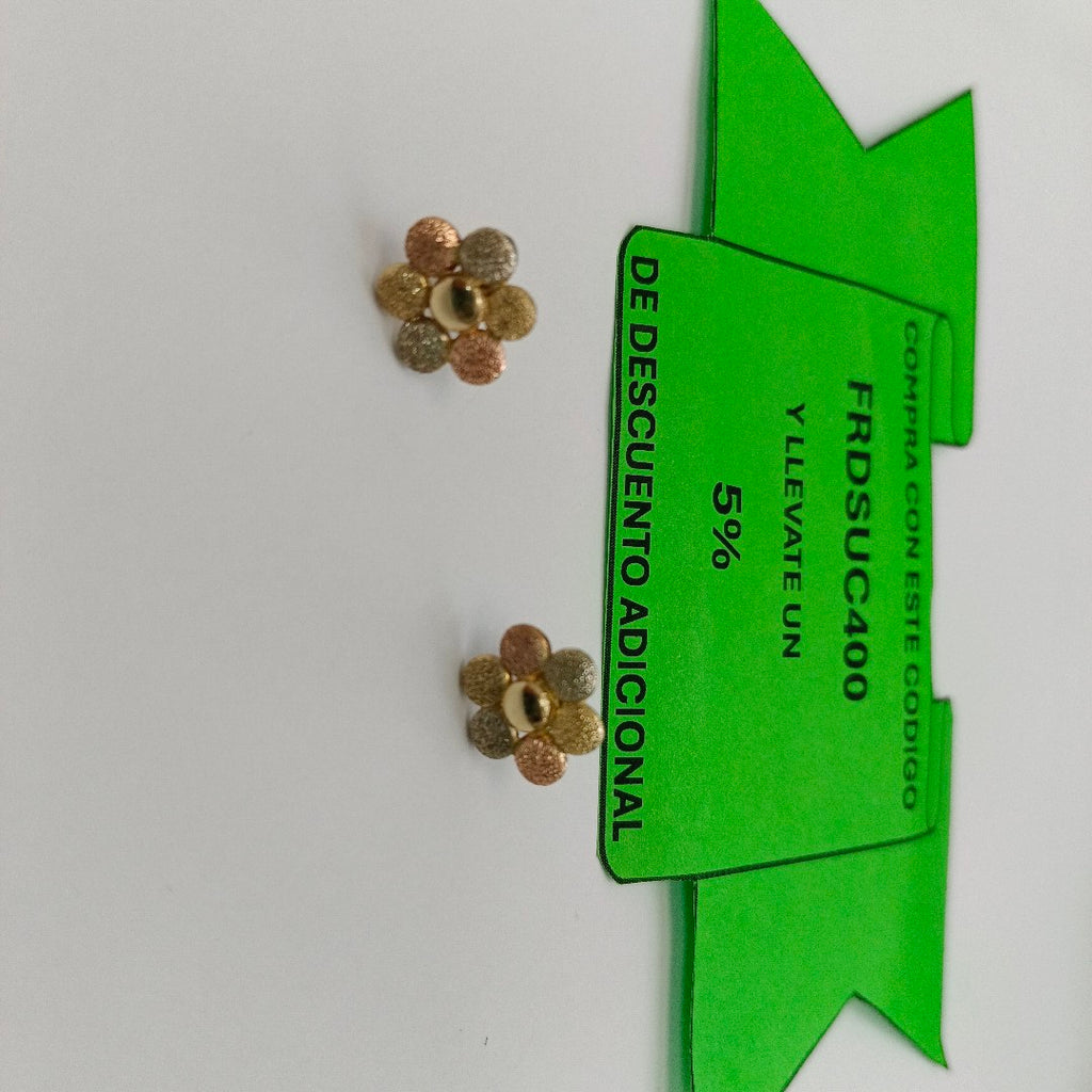 ARETES PAR ORO 10 K 2.4 GRMS (SEMINUEVO)