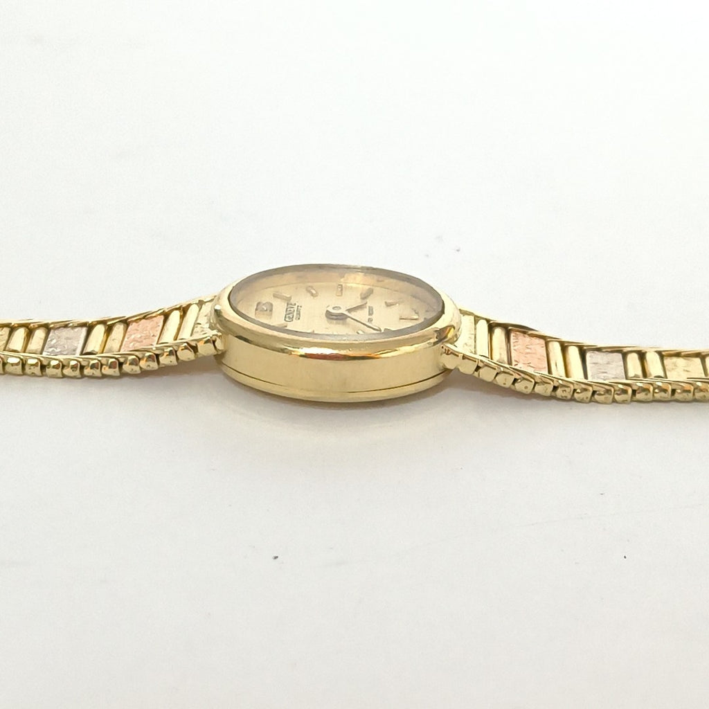 RELOJ CAJA Y PULSO ORO ORO COMBINADO 14 K 21,00 GRMS (SEMINUEVO)