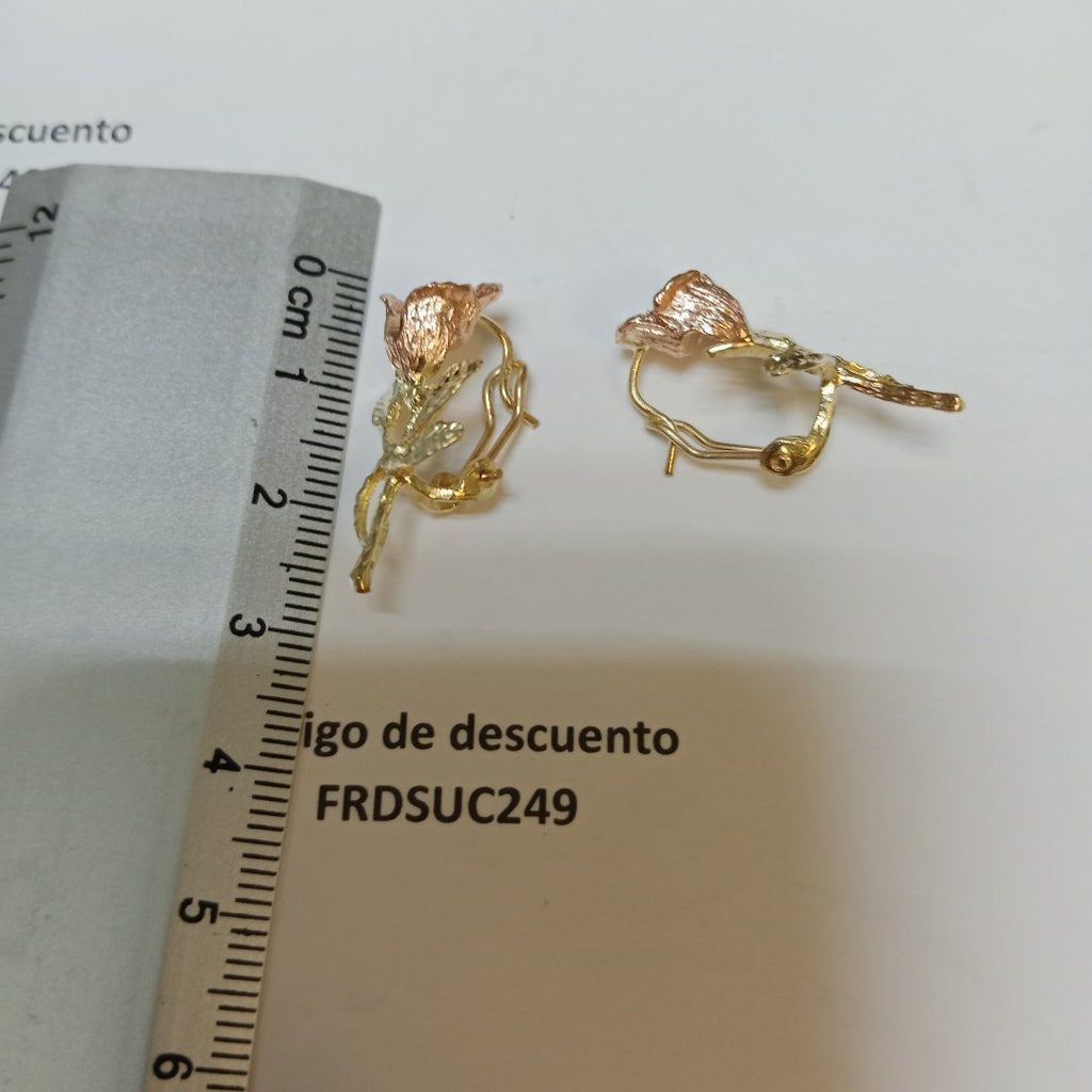 ARETES PAR ORO 10 K 4.9 GRMS (SEMINUEVO)
